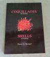 Coquillages Gabon
