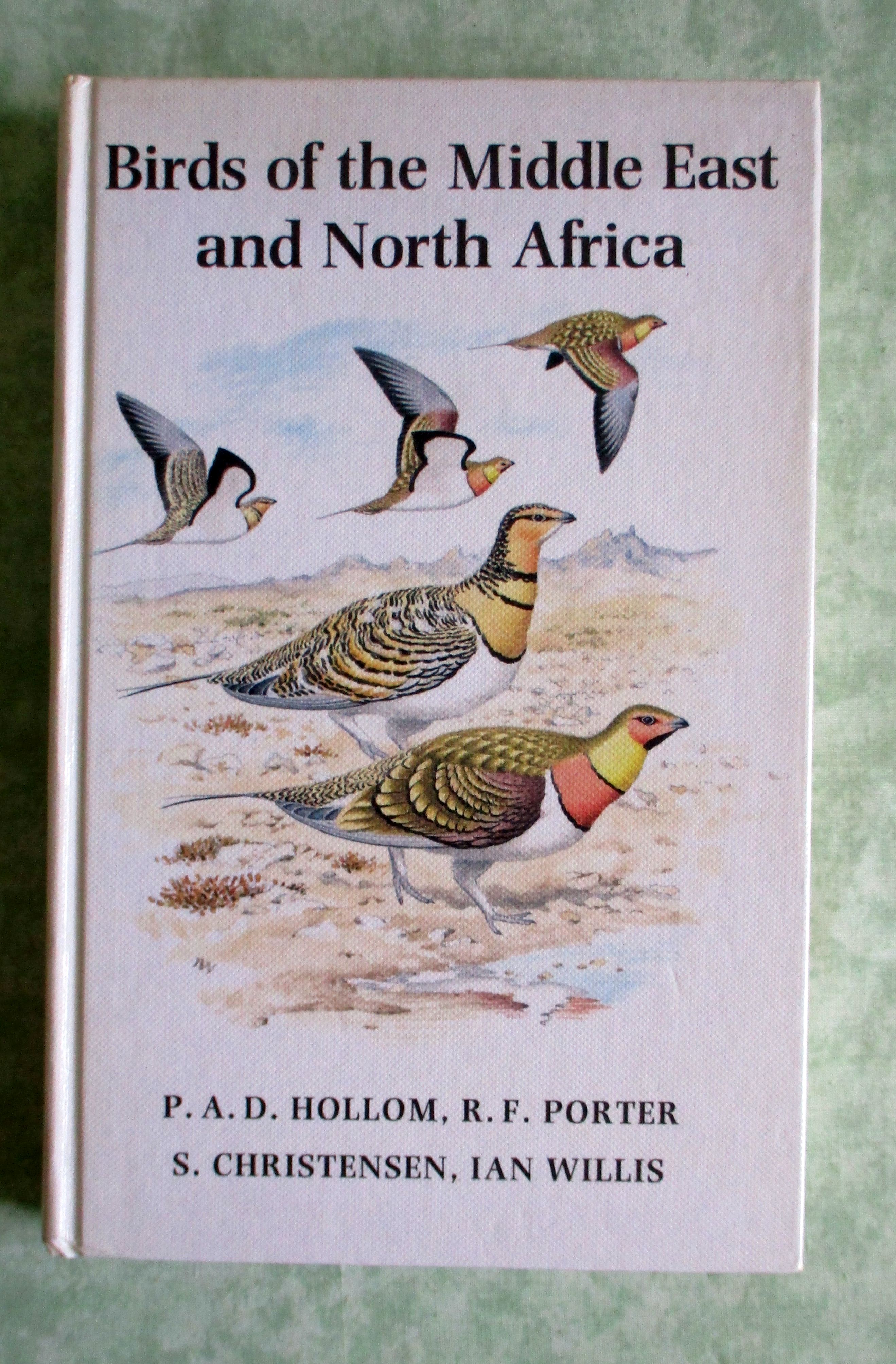 22955A.jpg