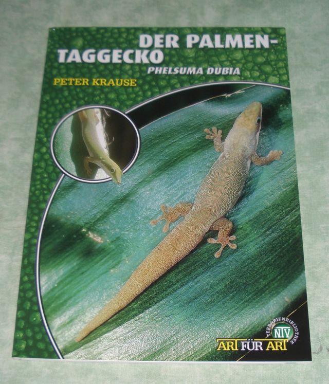 Krause, Palmen-Taggecko