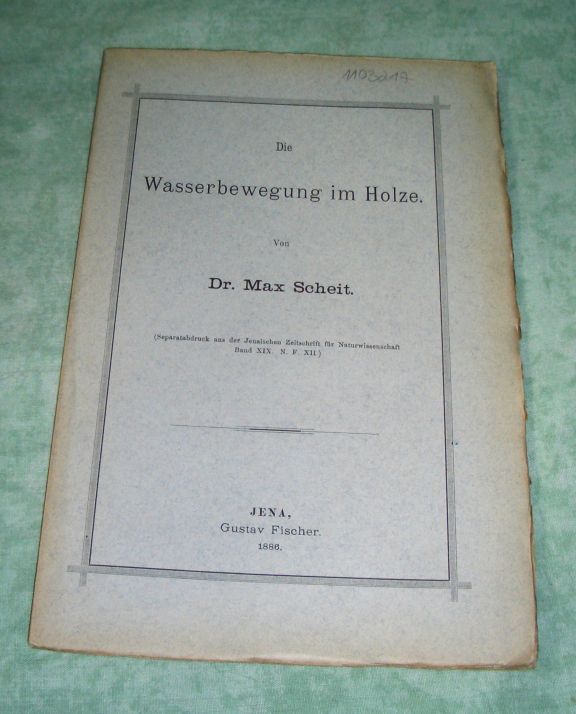 Scheit, Wasserbewegungen