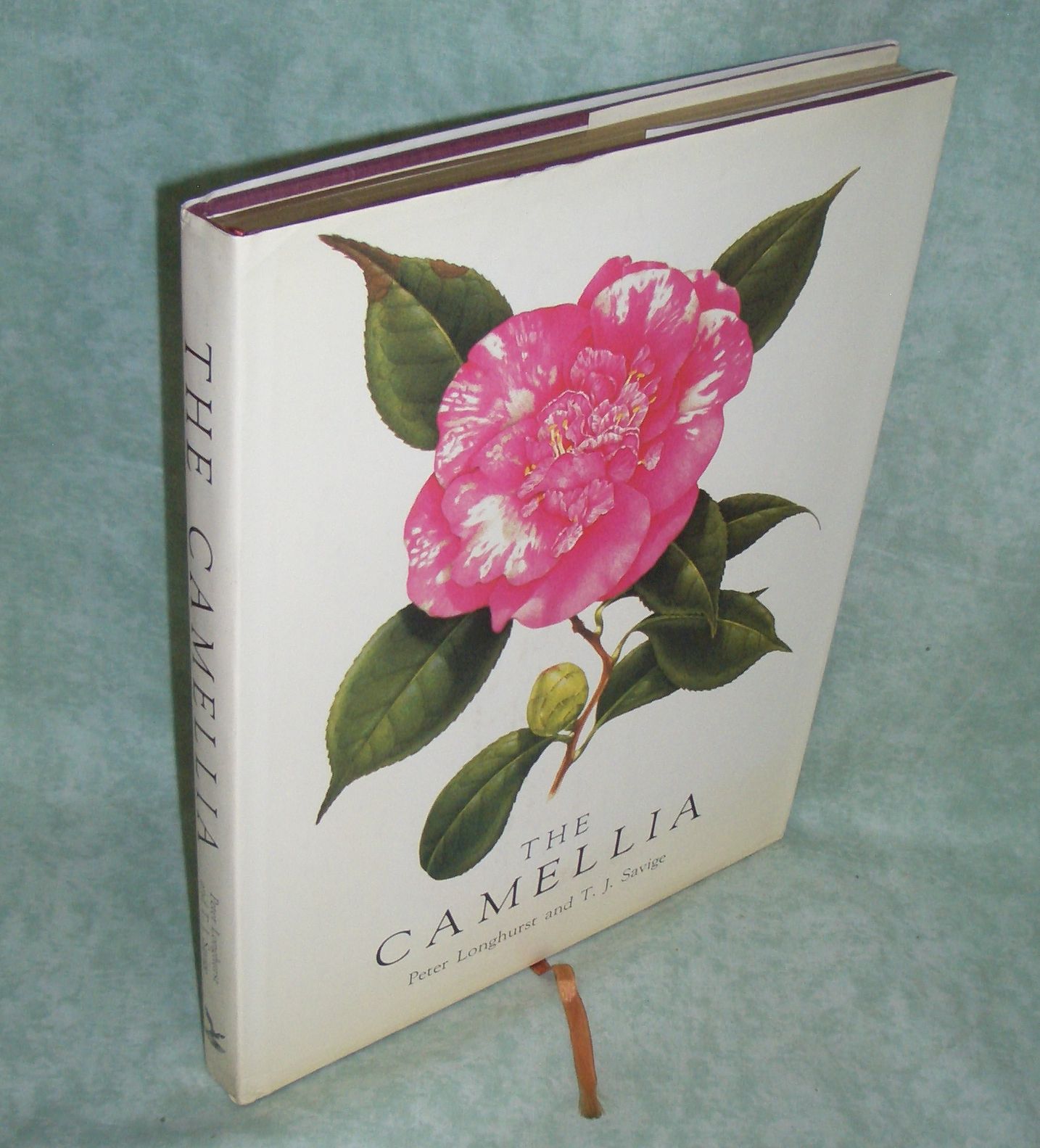 Longhurst, Camelia