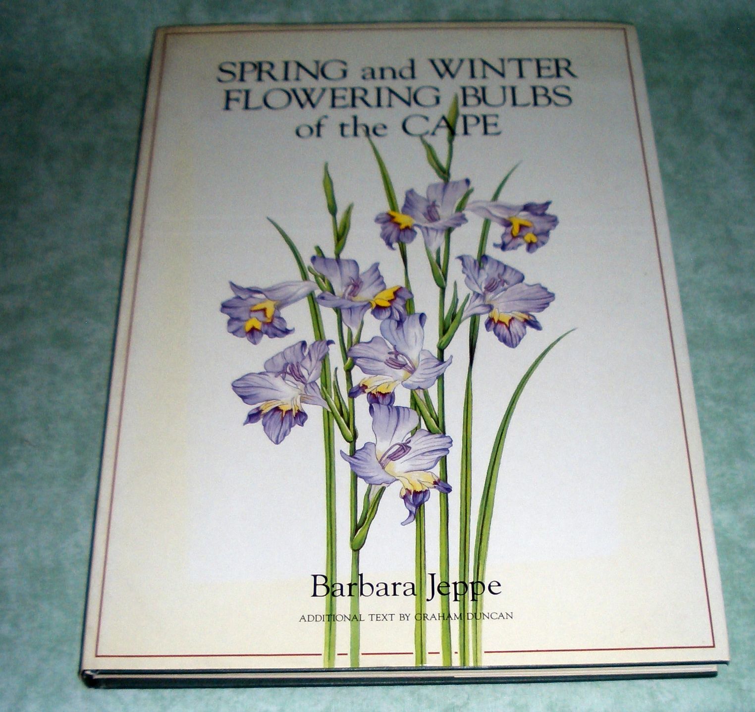 Jeppe, Bulbs