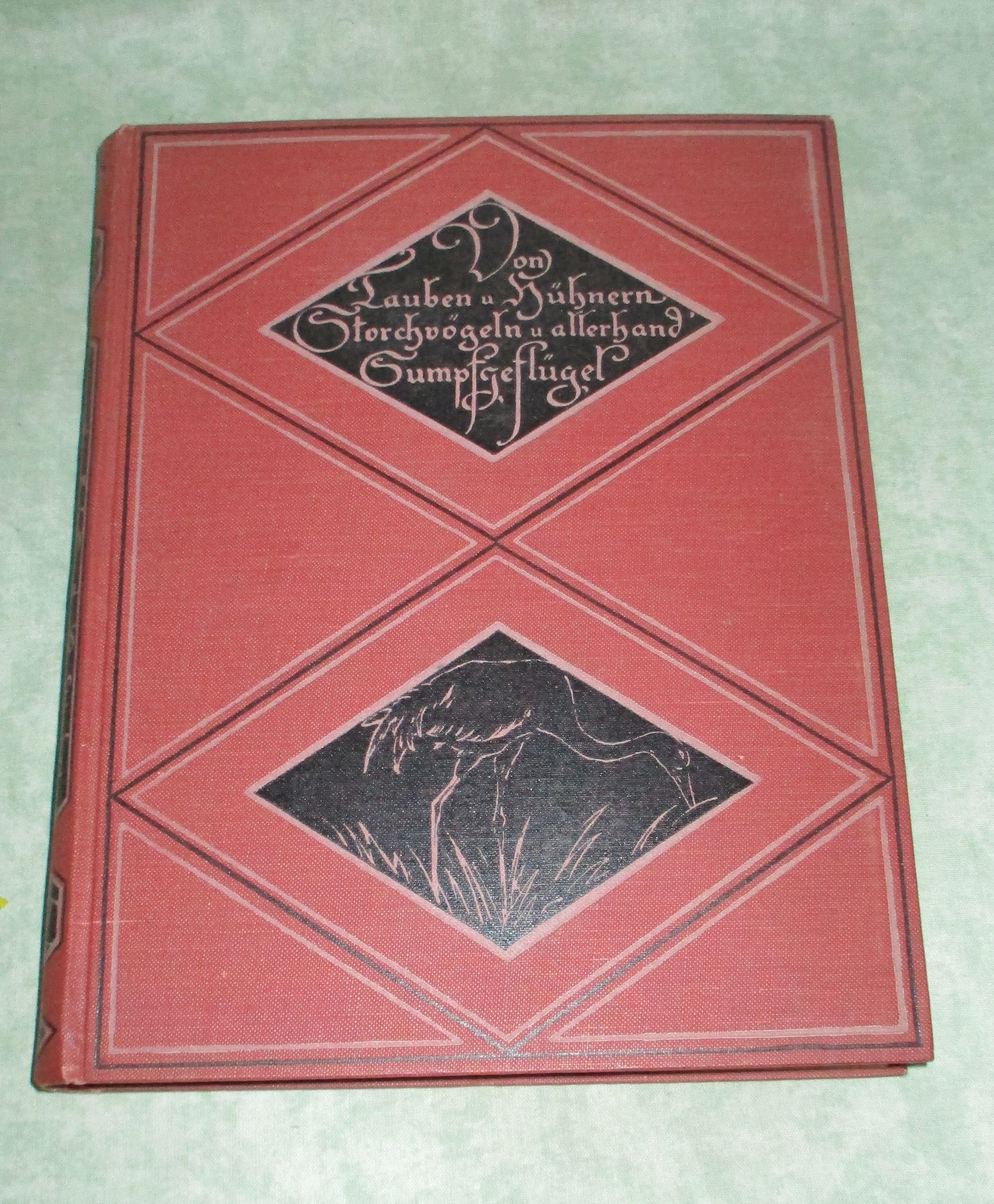 36373A.jpg