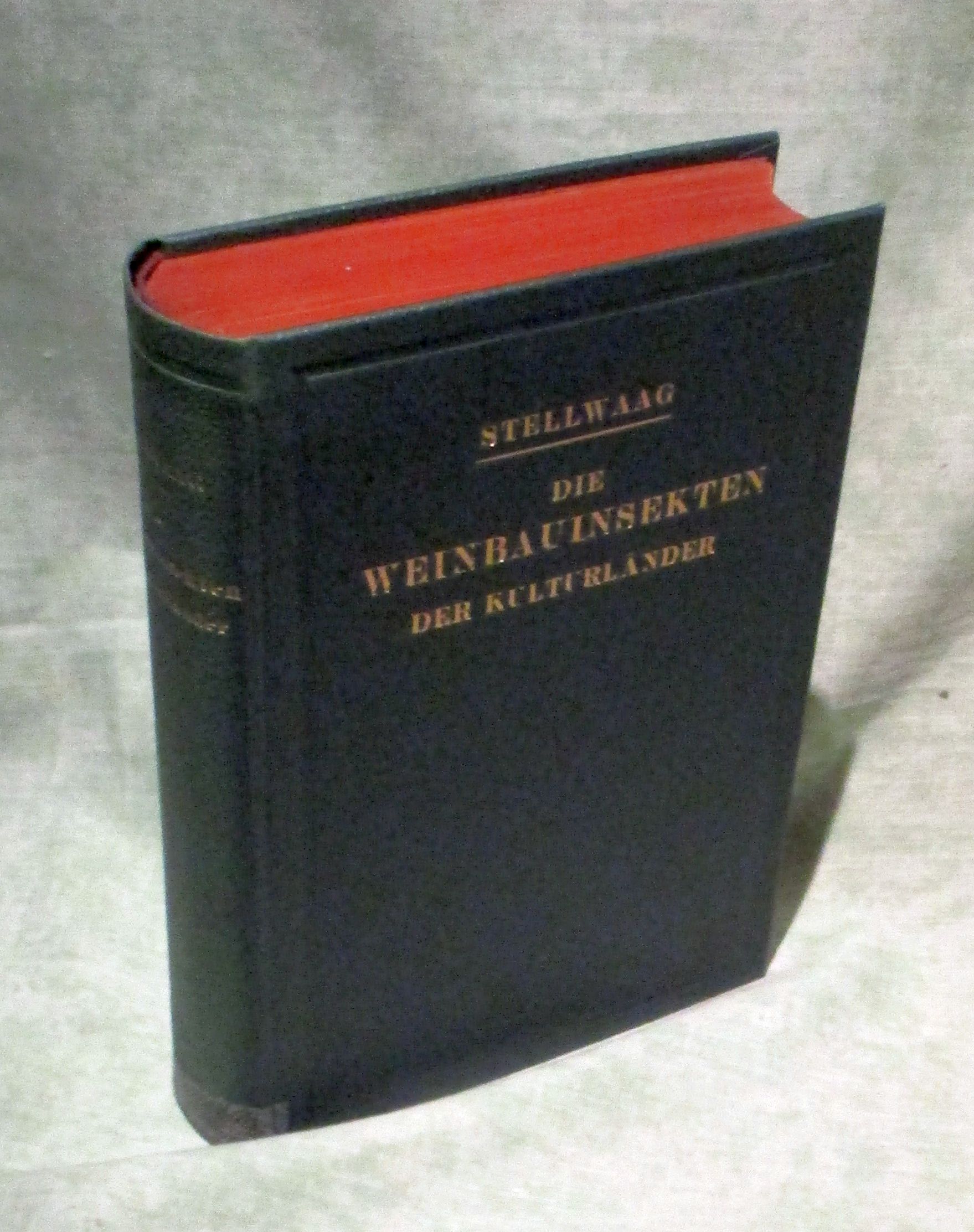 38064A.jpg