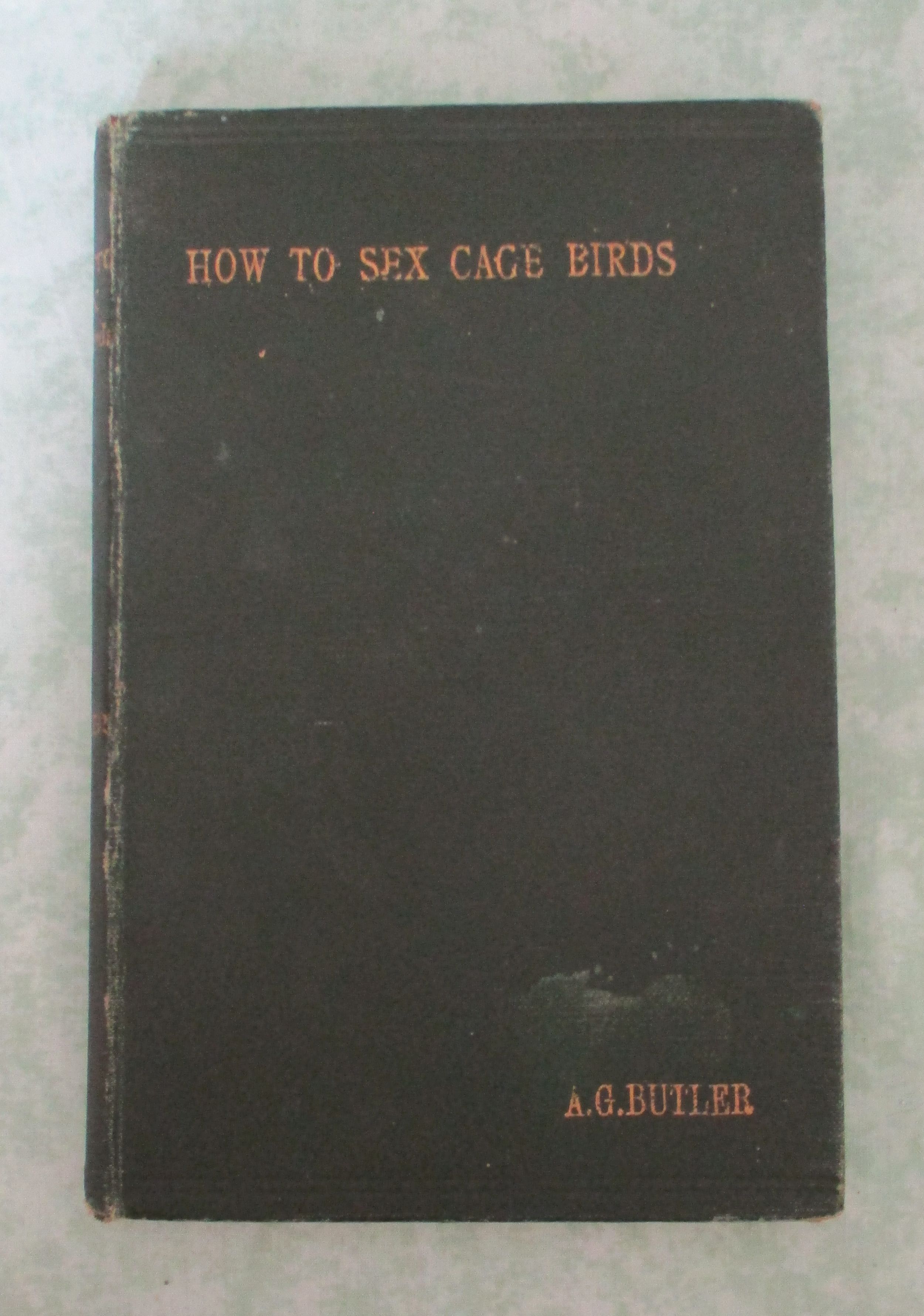 38279A.jpg