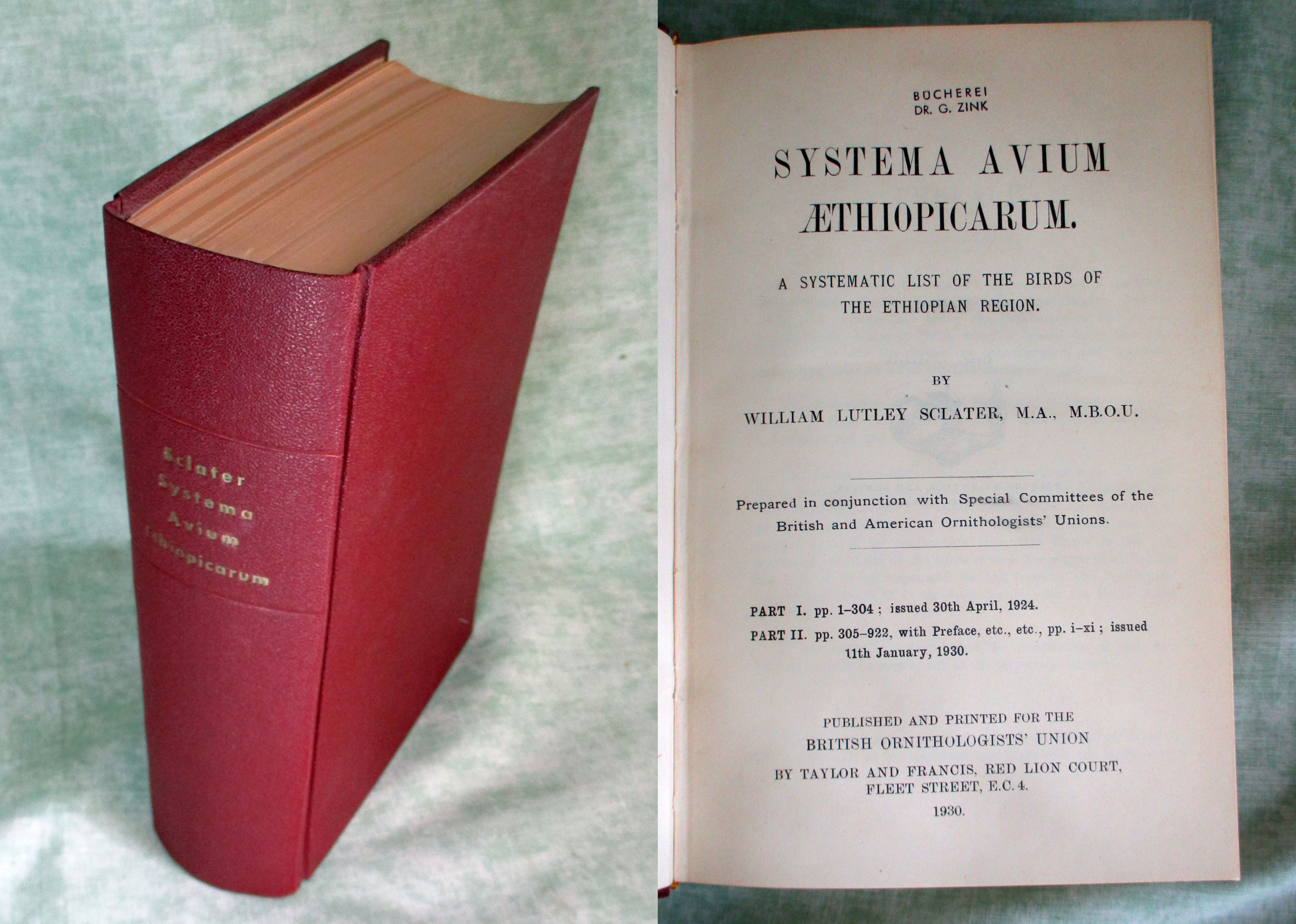 38358A.jpg