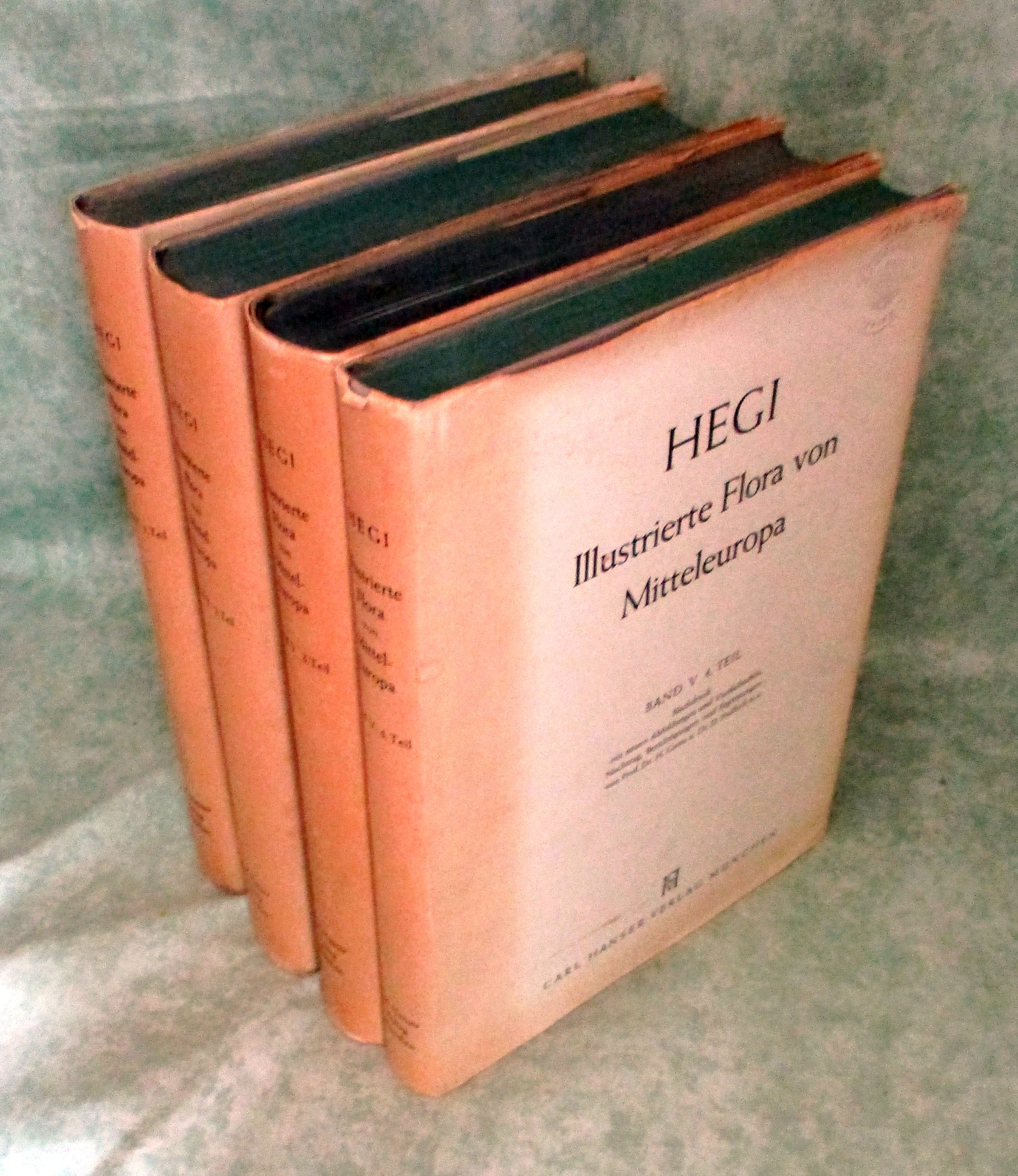 Hegi, Flora 5
