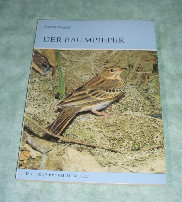 Baumpieper