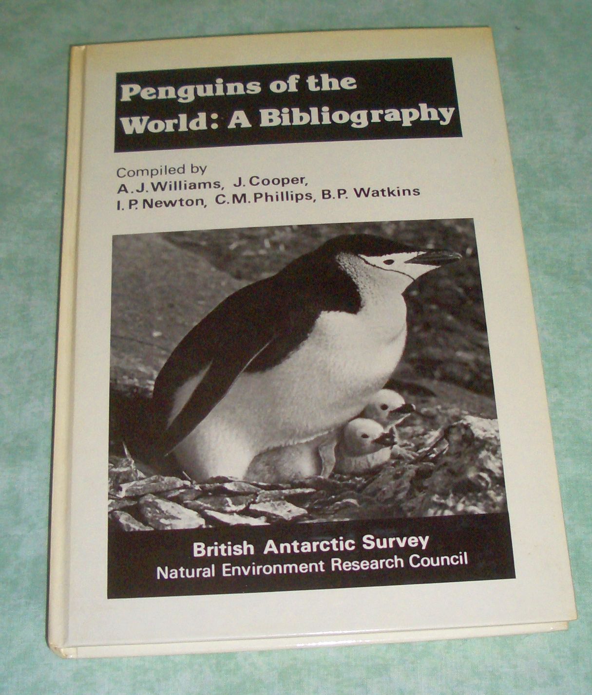 Williams, Penguins